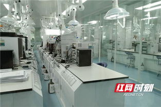 高質(zhì)量發(fā)展看山東丨臨沂 電商與傳統(tǒng)產(chǎn)業(yè)共探新技術開發(fā)之路