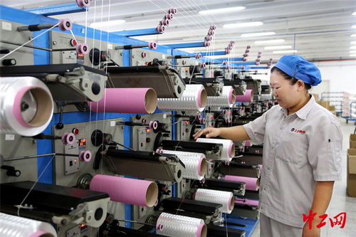 連云港外貿企業“雙輪驅動” 搶訂單與強技術并行，開拓出海新航道