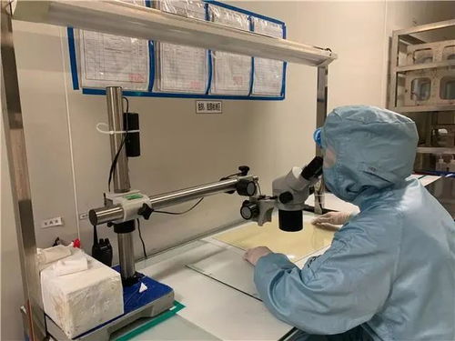 創新發展天地寬，技術驅動鑄輝煌 看梁平這家企業如何走向全國